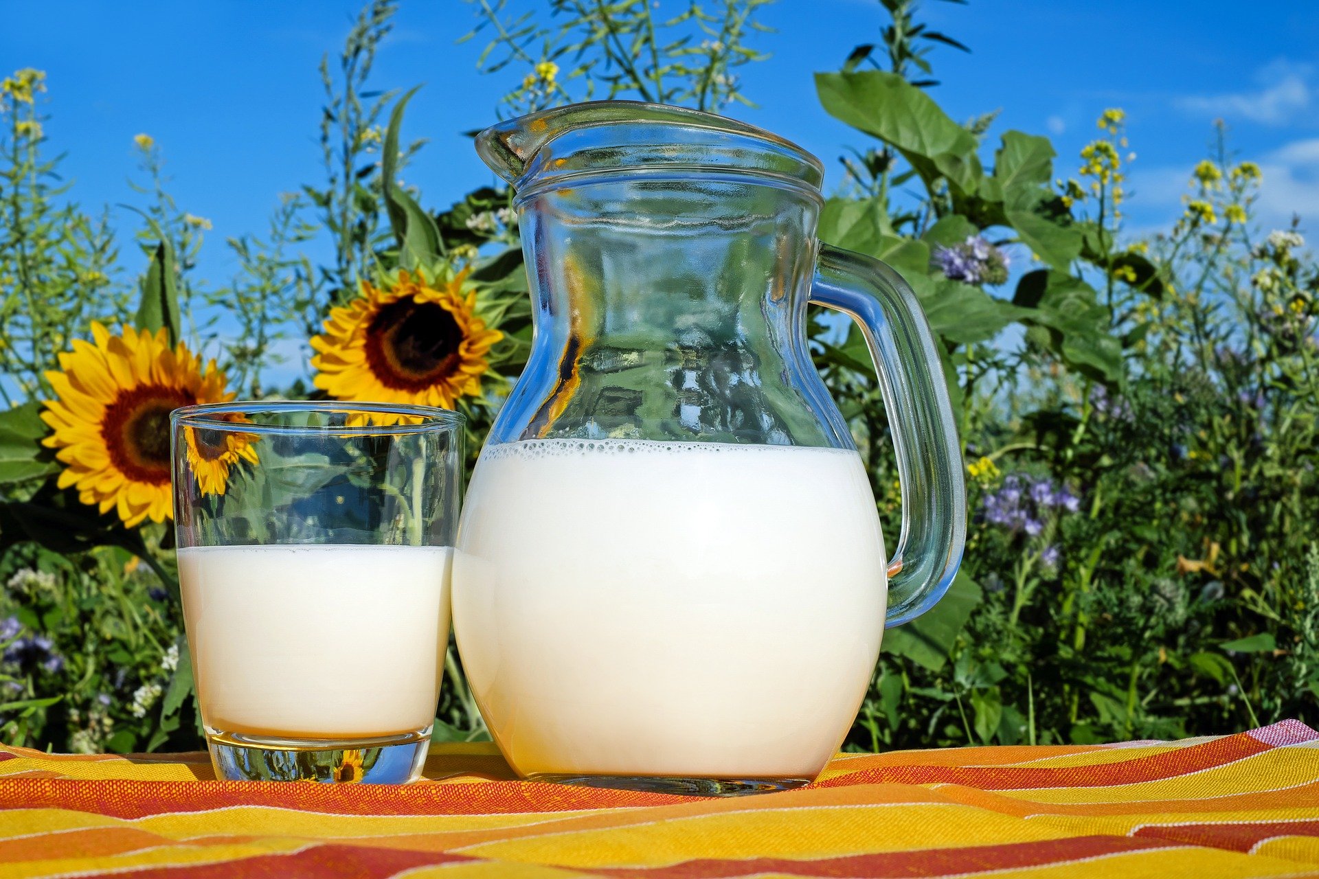 Überraschende Geschichte der Milchverträglichkeit